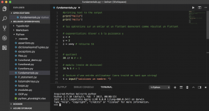 Python dans VS Code